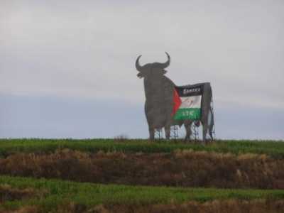 Toro con bandera saharaui