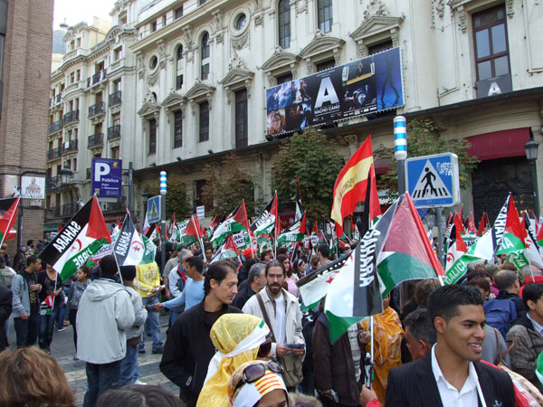 Manifestacion Madird 14-11-2009