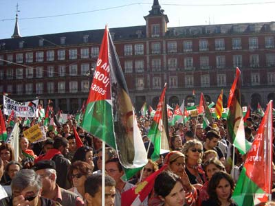 Manifestacin Madrid 11 de Noviembre de 2006
